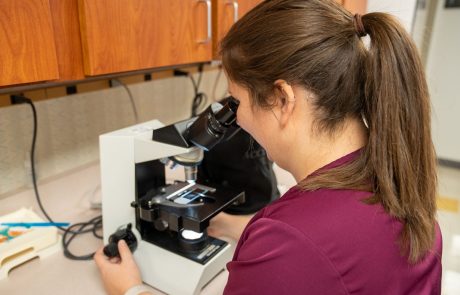 microscope-tech-zoom