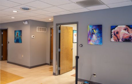 open-examination-room-door